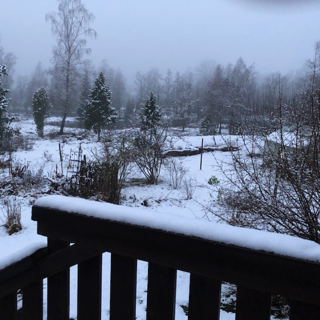 1rsta dagen, Nyårsdagen 2021… snöväder istället för regnväder. Gott Nytt År!