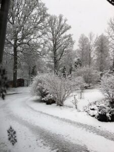 1rsta dagen, Nyårsdagen 2021… snöväder istället för regnväder. Gott Nytt År!